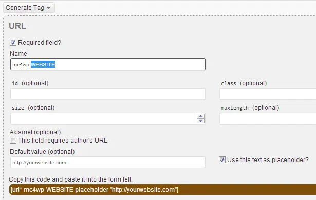 Generating a Mailchimp website field using the CF7 tag wizard